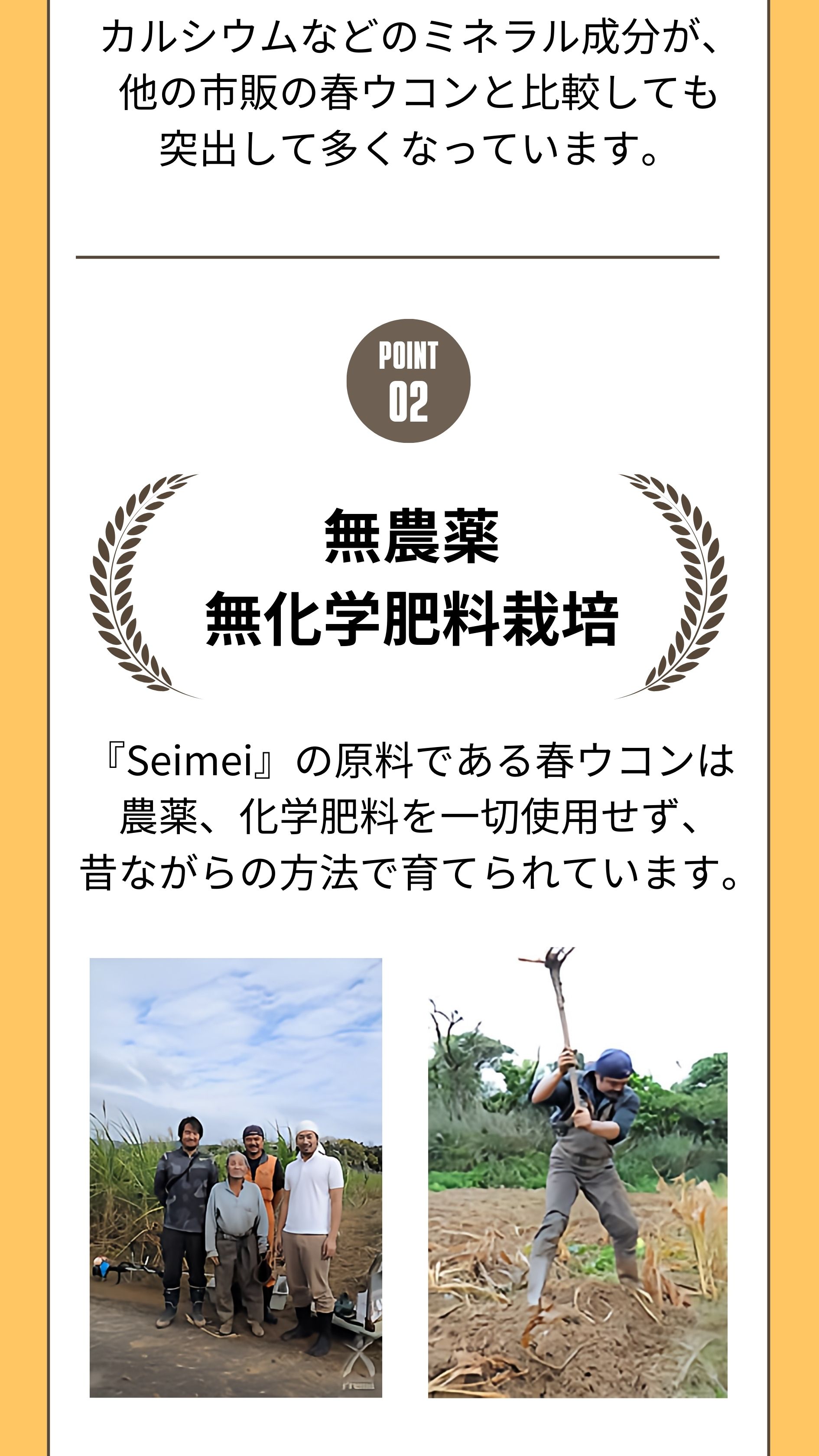 無農薬無科学肥料栽培